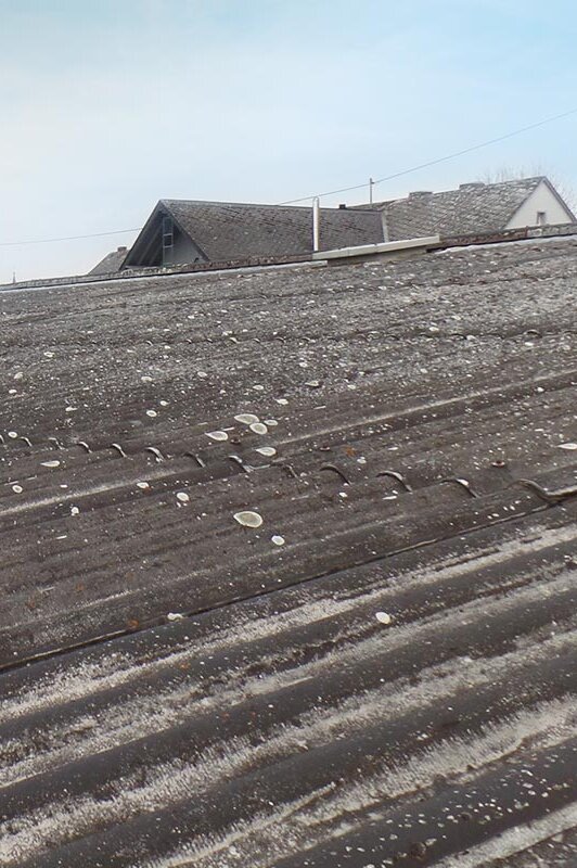 Asbestos roof renovation with photovoltaics