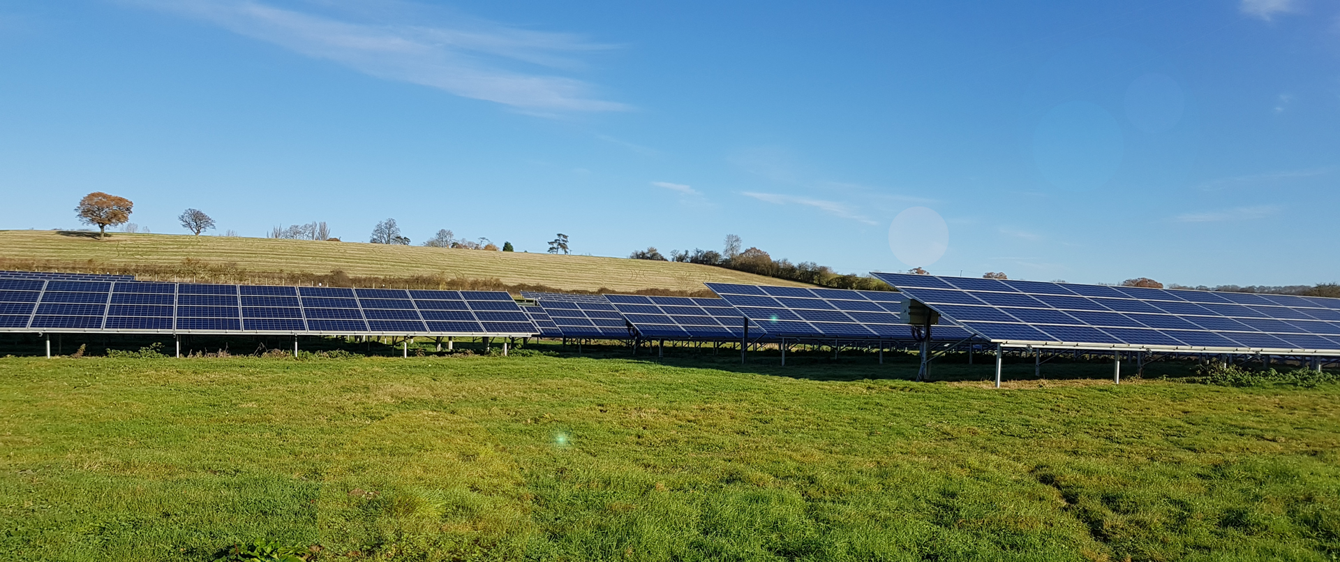Solarpark nach Grünschnitt Iqony Solar Energy Solutions