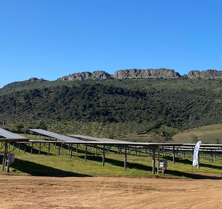 Bild eines Solarparks in Spanien, Zafra | SENS