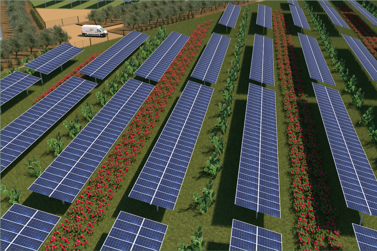 A graphic representation of the Agri-PV installation concept that SENS will implement in Sicily.