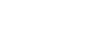 lsg logo