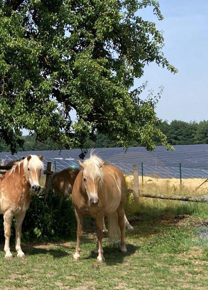 Nachhaltigkeit hoch 3: ESG-geprüftes Solarprojekt in Rickertsreute 