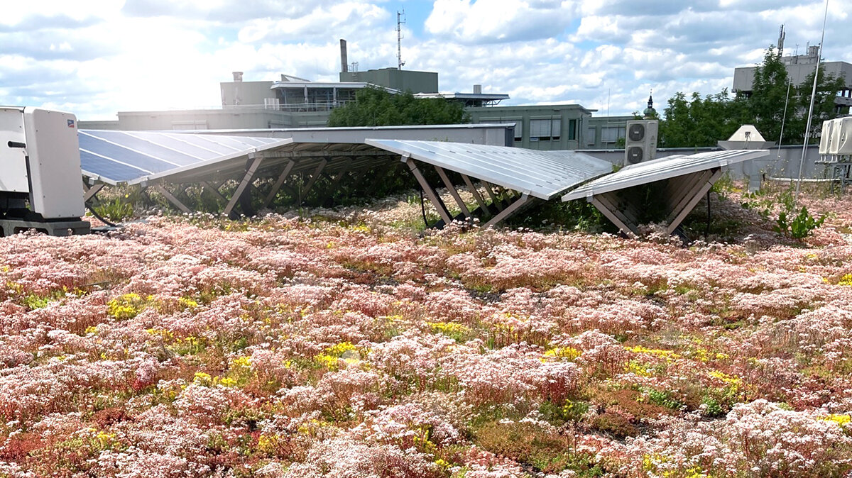 A green roof in combination with solar technology