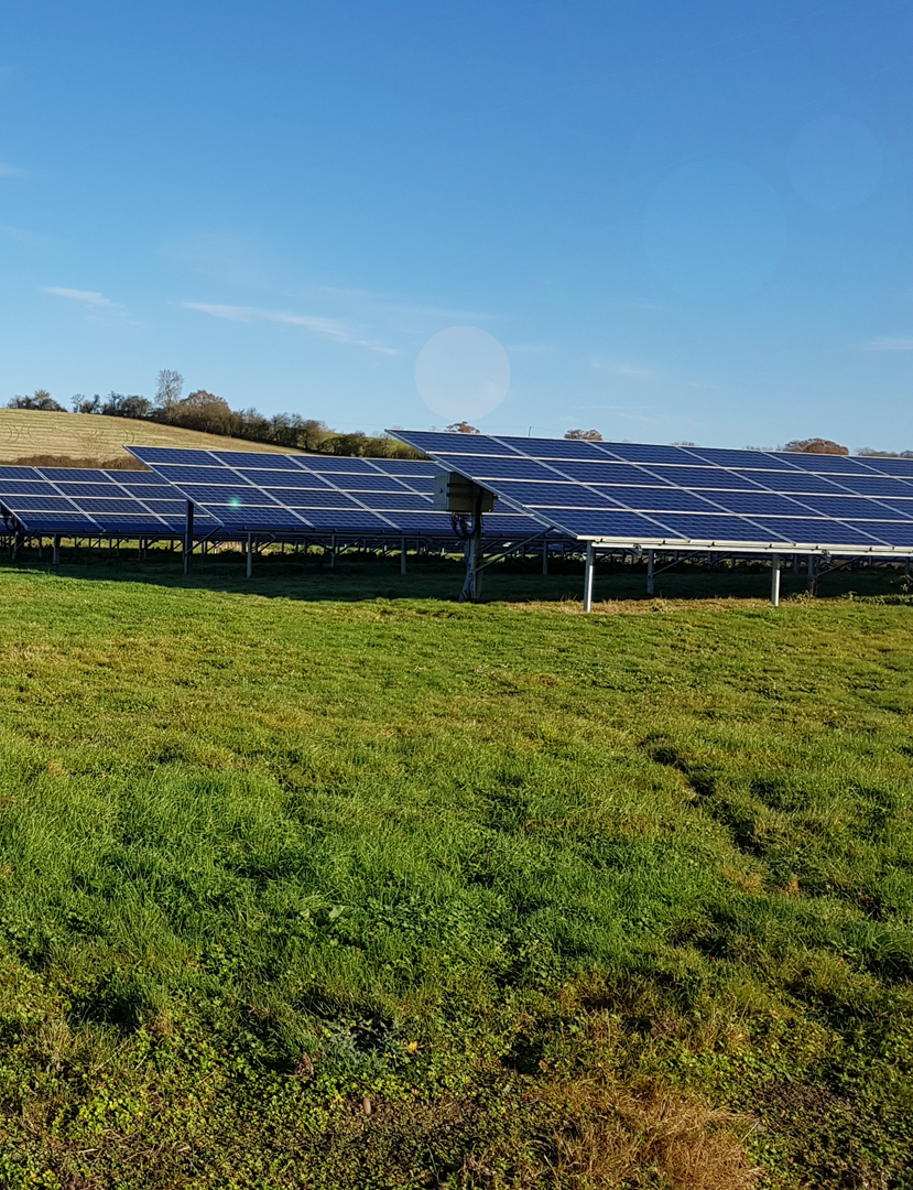 Green waste in solar parks