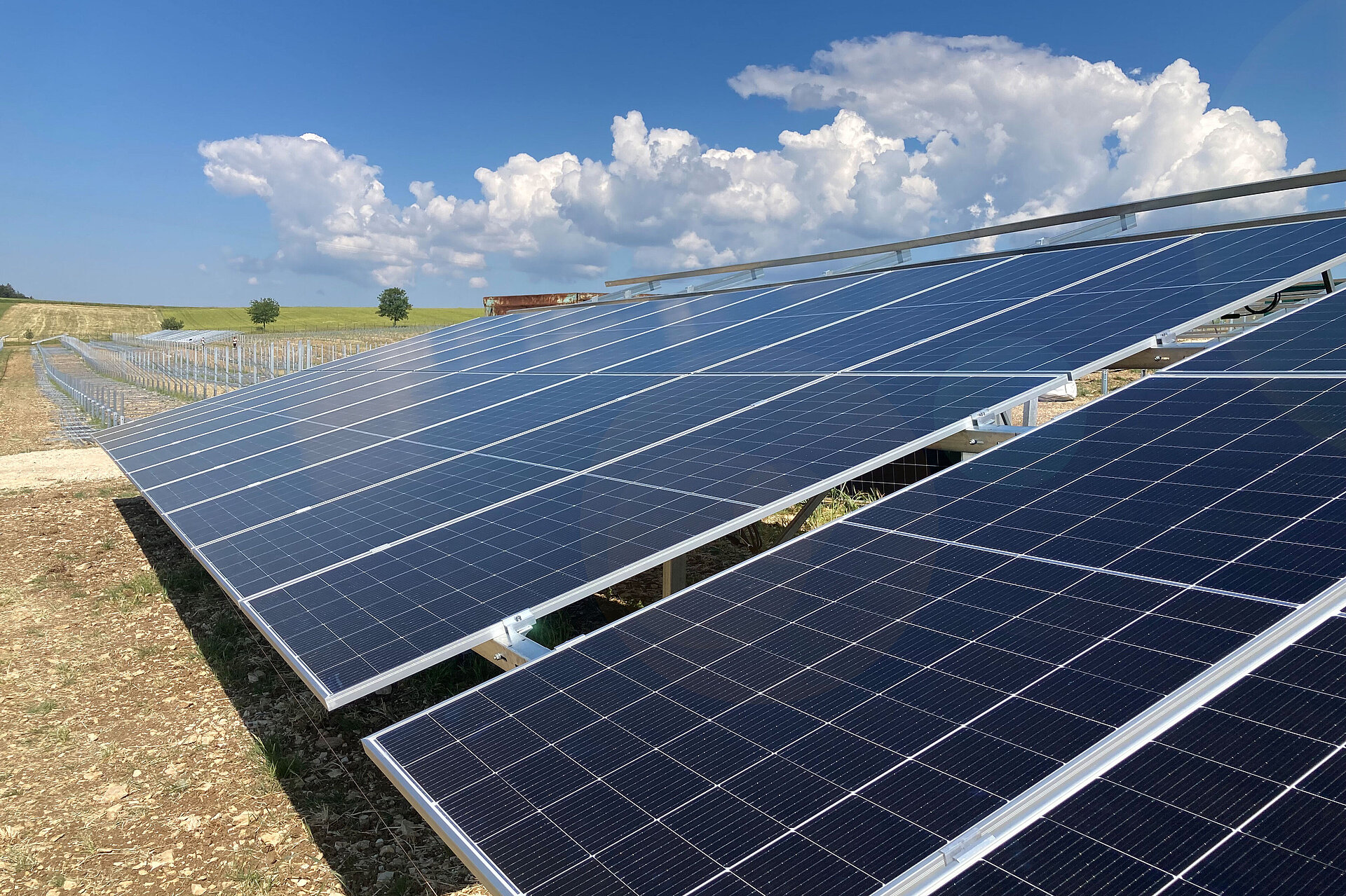8 facts about ground-mounted photovoltaics