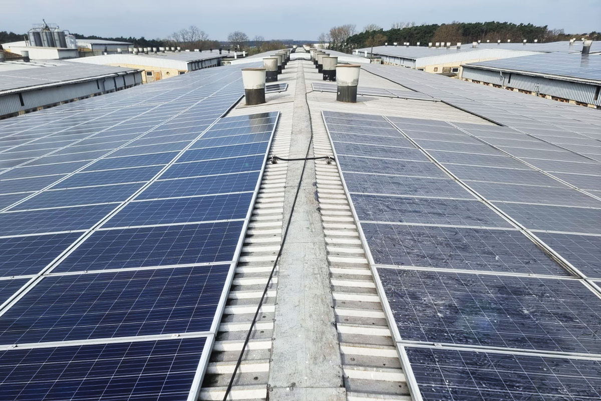 Difference between cleaned PV modules and non-cleaned modules