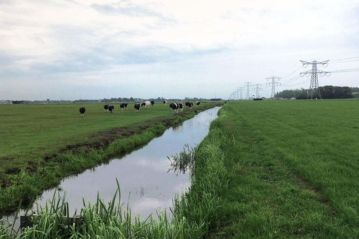 SENS baut eine PV-Anlage in Leuuwarden, Friesland