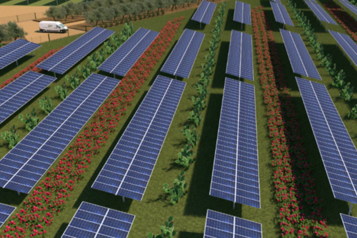 Simulation of an agri-PV plant in Italy