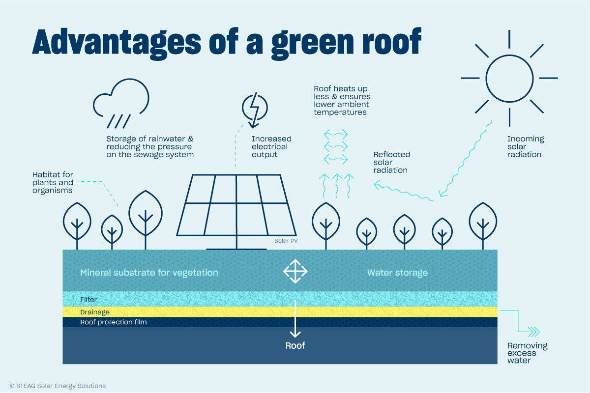Advantages of a green roof