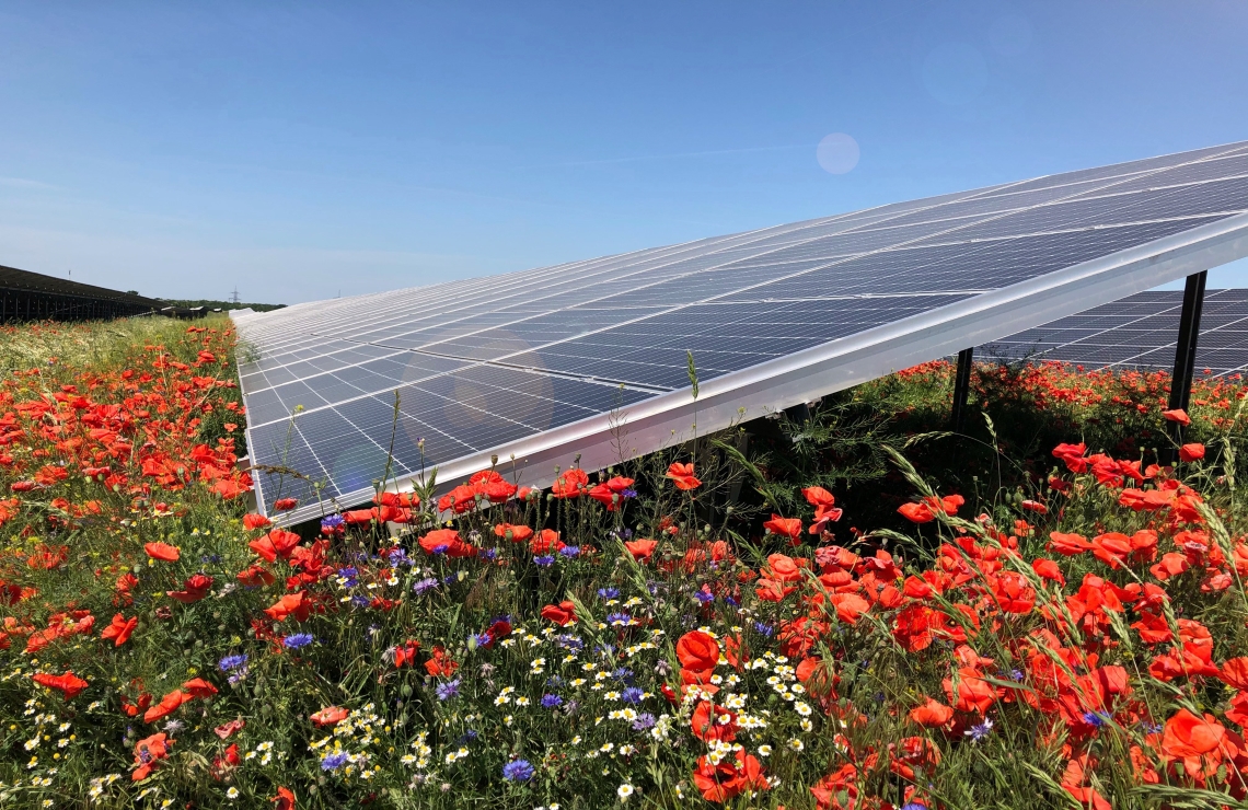 Solar park Nauen in Germany