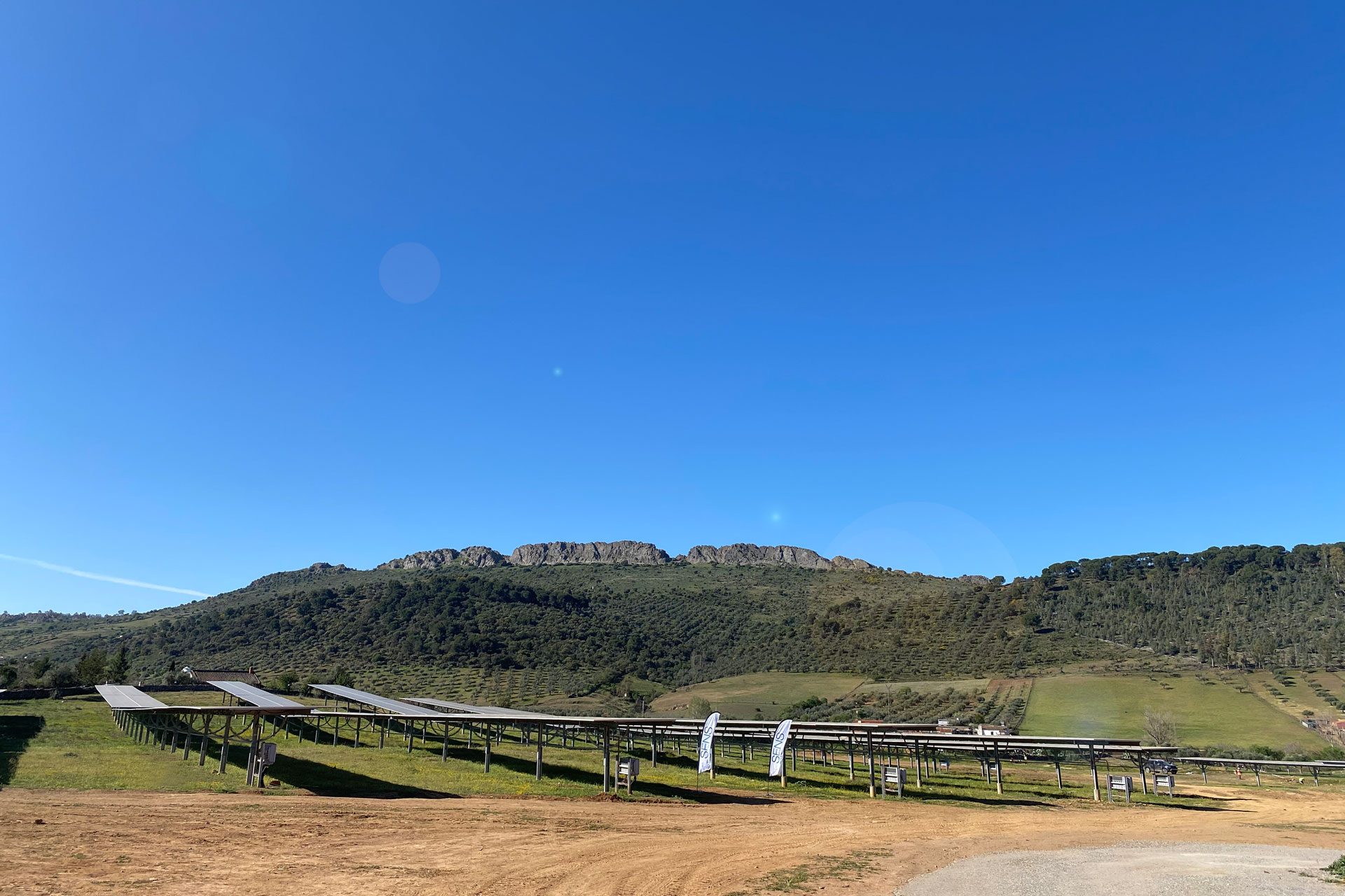 Bild eines Solarparks in Spanien, Zafra | SENS